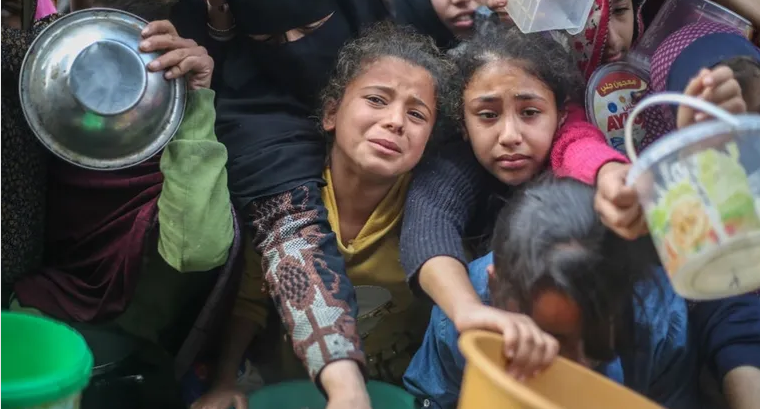 غزة تواجه كارثة غذائية وصحية.. آلاف الأطفال والحوامل وكبار السن في دائرة الخطر