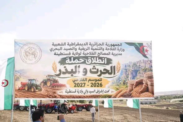 قسنطينة تستهدف إنتاج 2.27 مليون قنطار من الحبوب