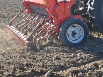 WhatsApp Image 2024-01-28 at 11.09.39 AM