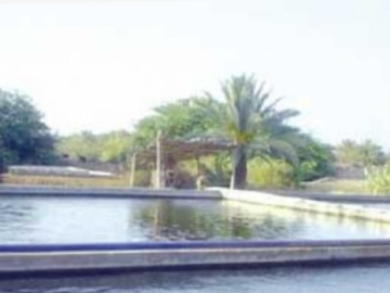 احواض مائية