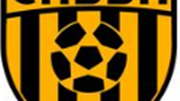 اهلي البرج