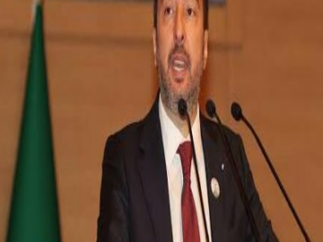 مجلس اقتصادي